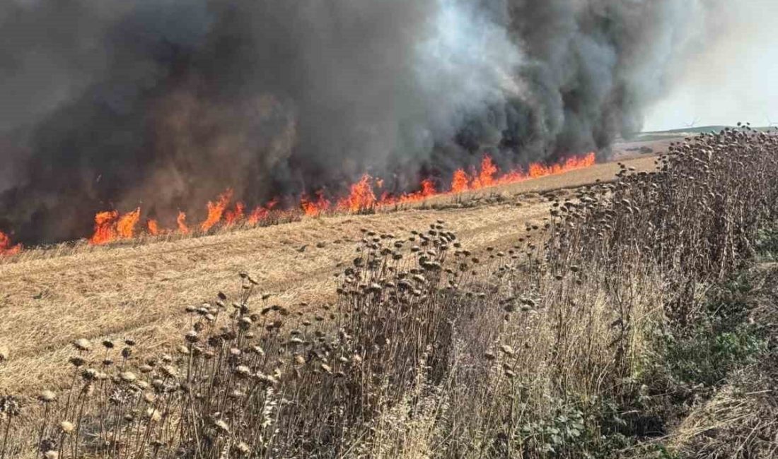 Tekirdağ’ın Çorlu ilçesinde buğday tarlasında çıkan yangın, itfaiye ekiplerinin yoğun