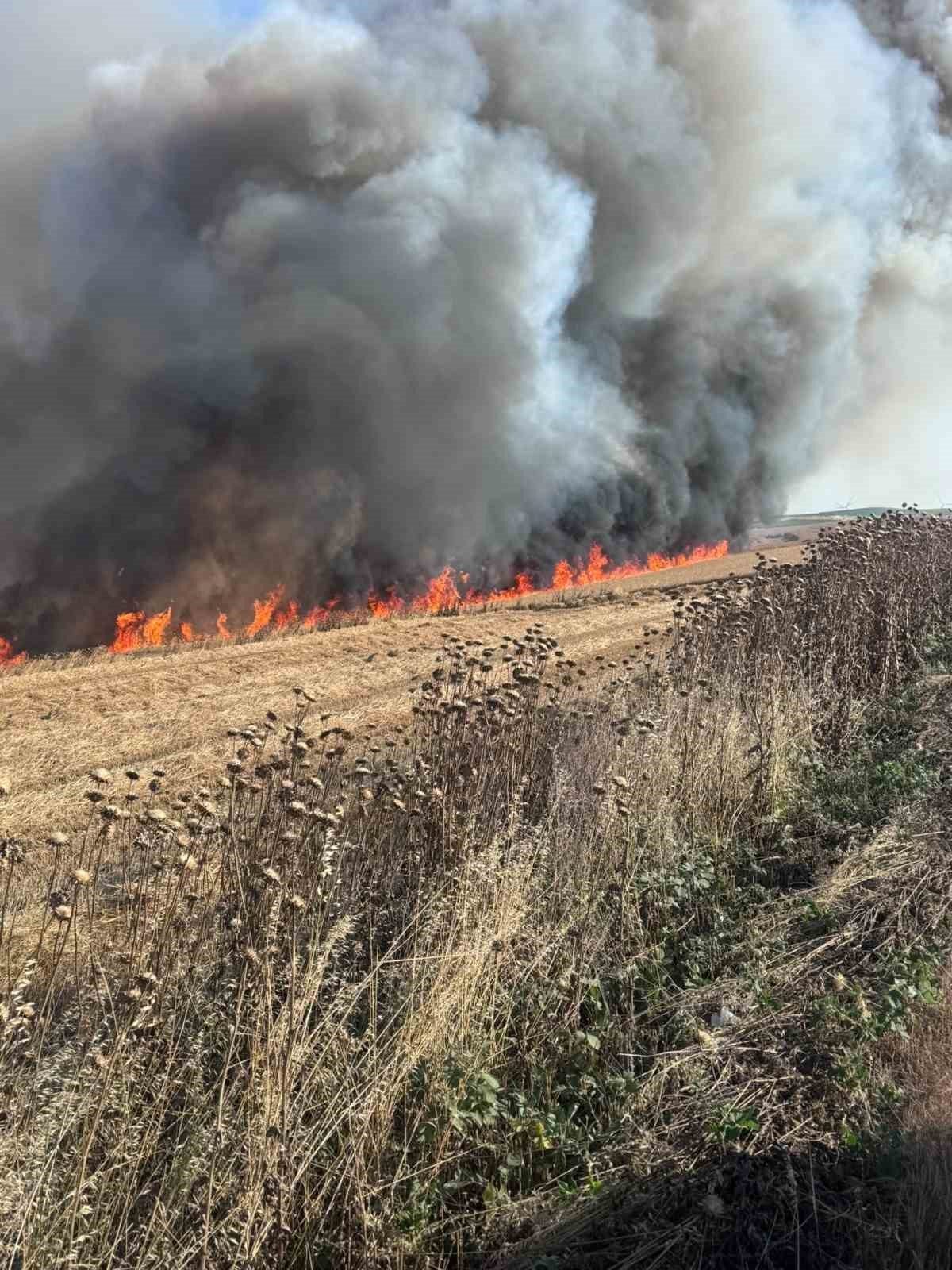 Tekirdağ’ın Çorlu ilçesinde buğday tarlasında çıkan yangın, itfaiye ekiplerinin yoğun