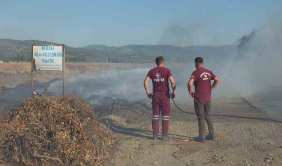 Burhaniye ilçesinde, Karınca Deresi kenarında çıkan ot yangını geniş alana