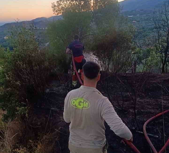 Edremit ilçesinde, turistik Çamlıbel Mahallesinde çıkan ot yangını korkuya neden