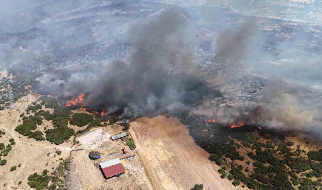 Çanakkale Orman Bölge Müdürlüğü (OBM) tarafından yapılan yazılı açıklamada 4