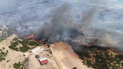 Çanakkale Orman Bölge Müdürlüğü (OBM) tarafından yapılan yazılı açıklamada 4