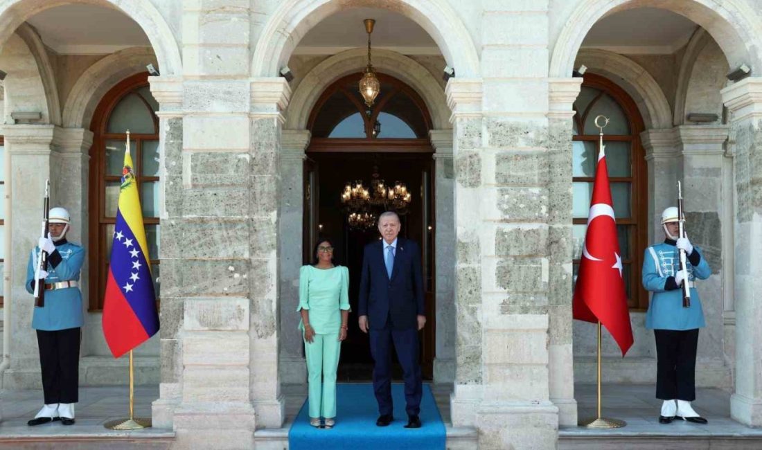 Cumhurbaşkanı Recep Tayyip Erdoğan, Venezuela Cumhurbaşkanı Vekili Delcy Rodriguez ile