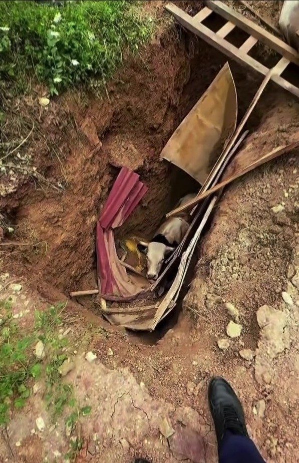 Kocaeli’nin İzmit ilçesinde defineciler tarafından kazıldığı düşünülen 15 metre derinliğindeki