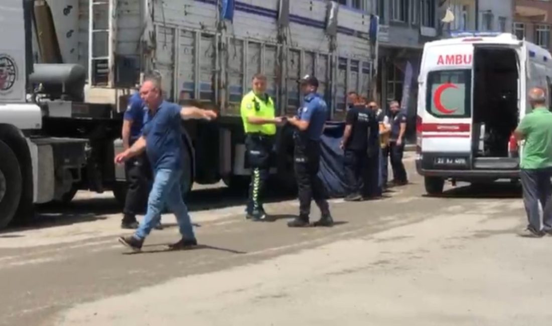 Edirne’nin Havsa ilçesinde meydana gelen kazada kamyonun çarptığı yaya hayatını