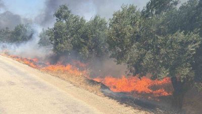 Balıkesir’in Edremit ilçesinde eski çöp depolama alanında çıkan ve rüzgarın