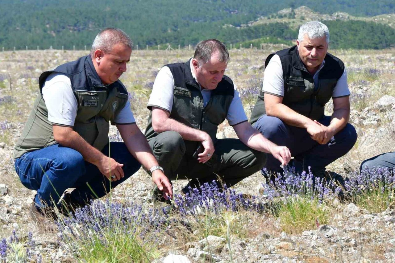 Balıkesir Orman Bölge Müdürü Musa Şen, Edremit Orman İşletme Müdürlüğü