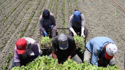 Yargıtay, 4857 sayılı İş Kanunu kapsamı dışında kalan ev hizmetleri