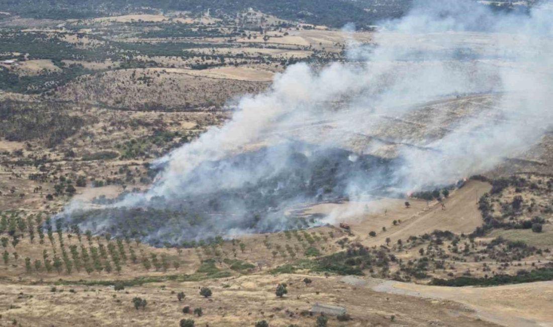 Çanakkale’nin Ezine ilçesinde Orman Bölge Müdürlüğü’ne bağlı ekiplerin havadan ve