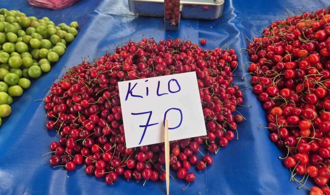Tekirdağ’da Kiraz Festivali sırasında yüksek fiyatlarla satılan kirazın fiyatı, ürün