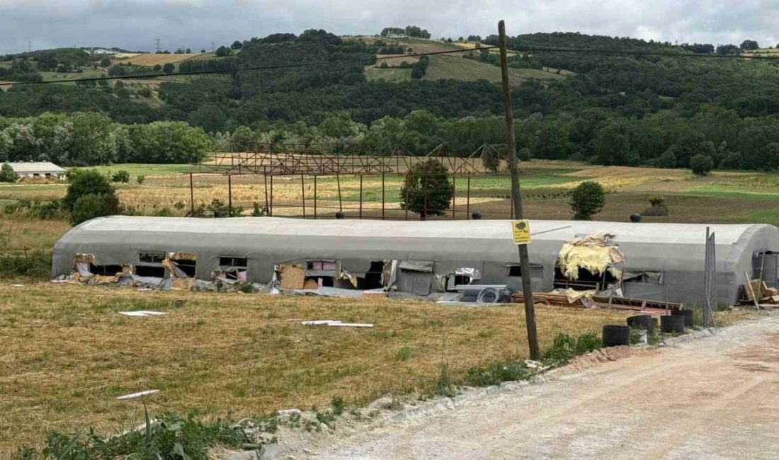 Sakarya’nın Kaynarca ilçesinde küçükbaş hayvan çiftliğinde çıkan yangında, 5 kuzu