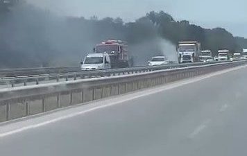 Bursa’nın Karacabey ilçesinde bulunan İzmir-Bursa kara yolu üzeri TİGEM bölgesindeki