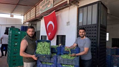 Bursa’nın İznik ilçesine bağlı Boyalıca Mahallesi’nde yörenin önemli tarım ürünlerinden