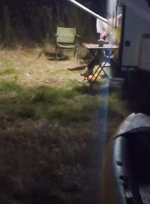 Balıkesir’in Ayvalık ilçesi Cunda Adası’ndaki bir kamp alanına gece saatlerinde