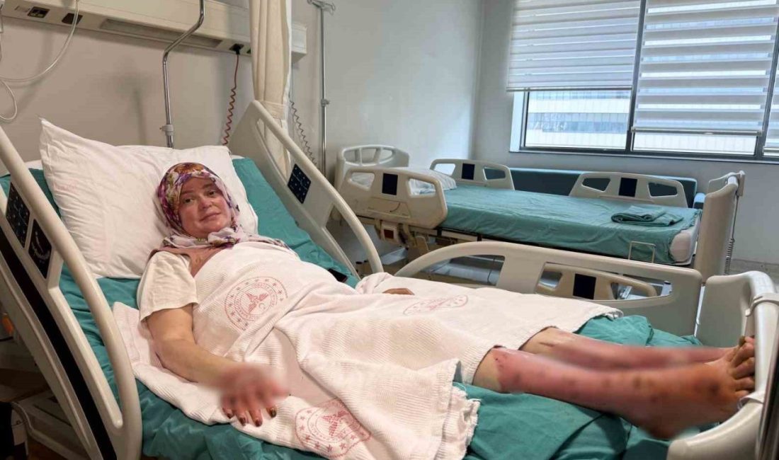 İstanbul’da yaşayan ailenin Karadeniz turu yapmak için aldıkları karavanda iddiaya