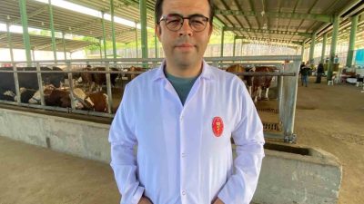 Havaların ısınmasıyla birlikte kene vakalarında artış yaşanırken, uzmanlar özellikle kırsal