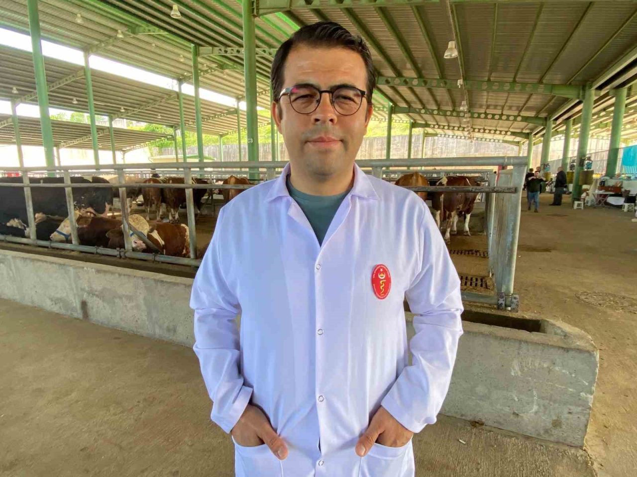 Havaların ısınmasıyla birlikte kene vakalarında artış yaşanırken, uzmanlar özellikle kırsal