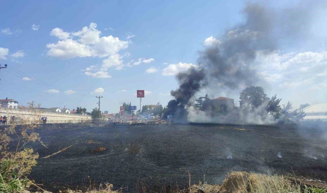 Edirne’nin Keşan ilçesinde akaryakıt istasyonunun bitişiğindeki 37 dönümlük buğday tarlasında