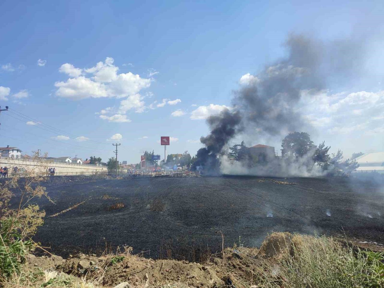 Edirne’nin Keşan ilçesinde akaryakıt istasyonunun bitişiğindeki 37 dönümlük buğday tarlasında