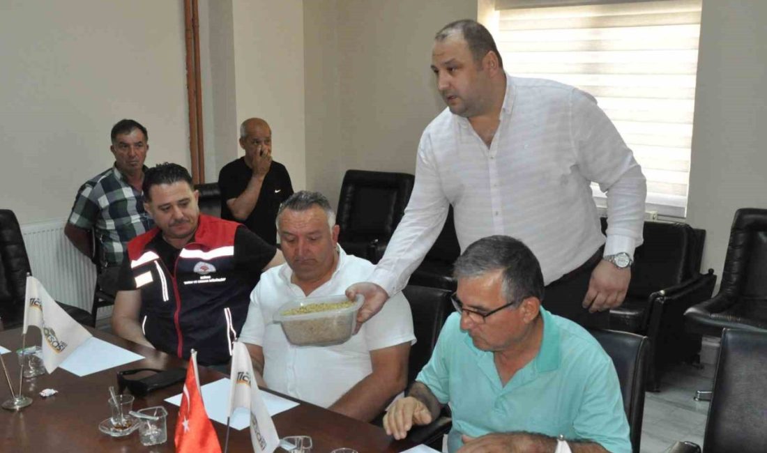 Edirne’nin Keşan ilçesinde hasat edilen yılın ilk arpa ürünün salon