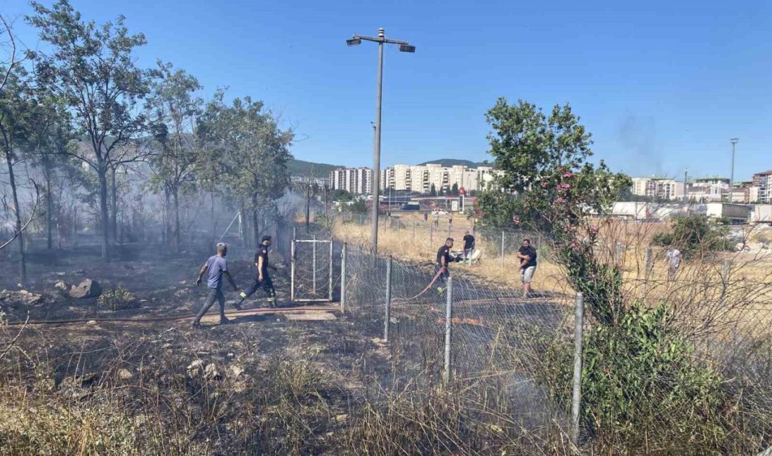 Kocaeli’nin Körfez ilçesi TEM Otoyolu kenarında seyir halindeki saman yüklü