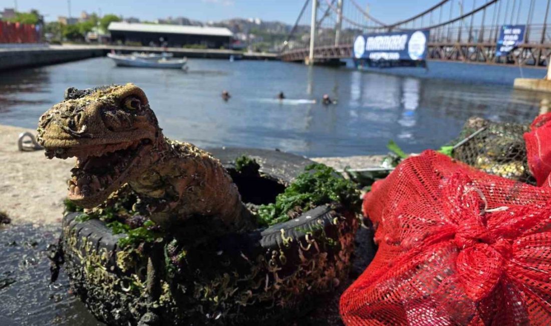 8 Haziran Marmara Denizi Günü kapsamında Balıkesir’in Bandırma ilçesinde deniz