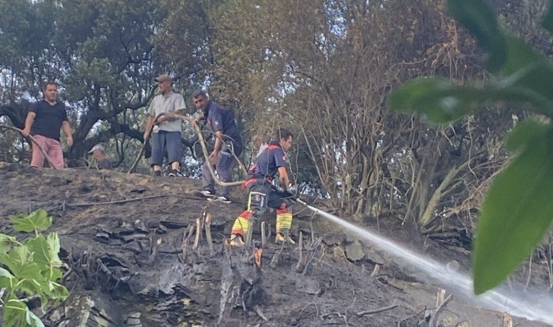 Balıkesir’in Marmara ilçesinde kuru otların tutuşmasıyla başlayan yangın, itfaiye ekiplerinin