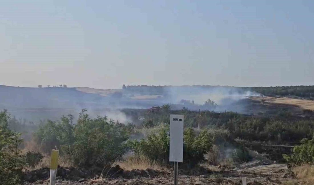 Balıkesir’in Kepsut ilçesinde merada çıkan yangın, havadan ve karadan müdahale
