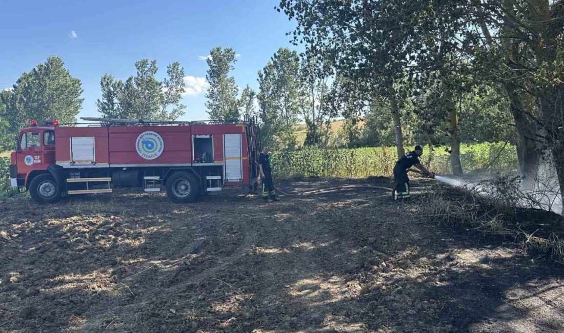 Tekirdağ’ın Muratlı ilçesinde merada çıkan ve tarlaya sıçrayan yangında yaklaşık