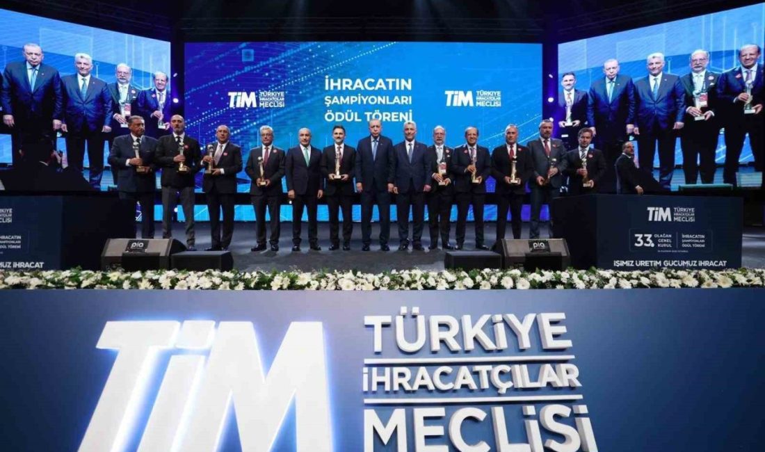 Pegasus Hava Yolları, TİM 33. Olağan Genel Kurulu ve İhracatın