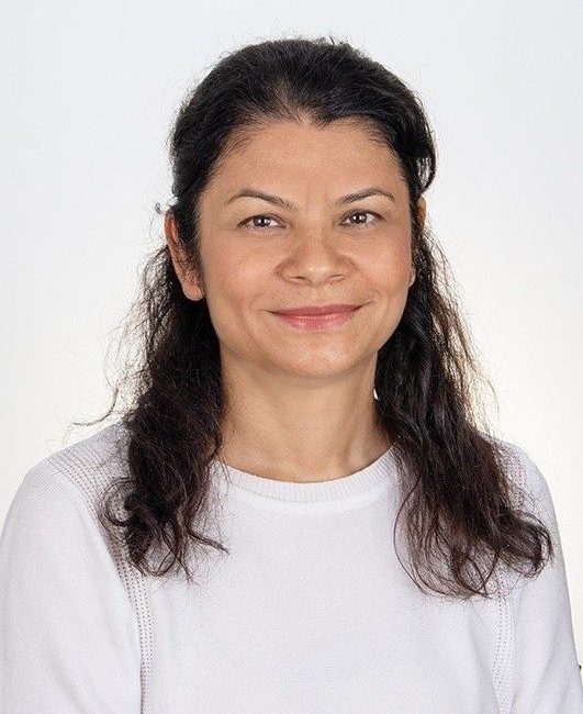 Biruni Üniversitesi Farmasötik Kimya Anabilim Dalı Başkanı Prof. Dr. Bedia