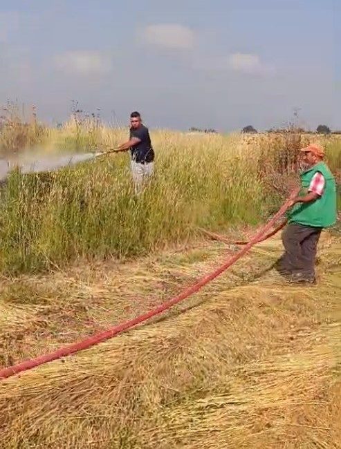 Bursa’nın Karacabey ilçesinde şerare (kıvılcım) yapan elektrik telleri, buğday tarlasında