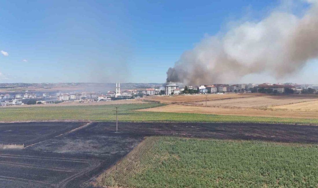 İstanbul’un Silivri ilçesinde bir tarlada çıkan yangın, rüzgarın etkisiyle kısa