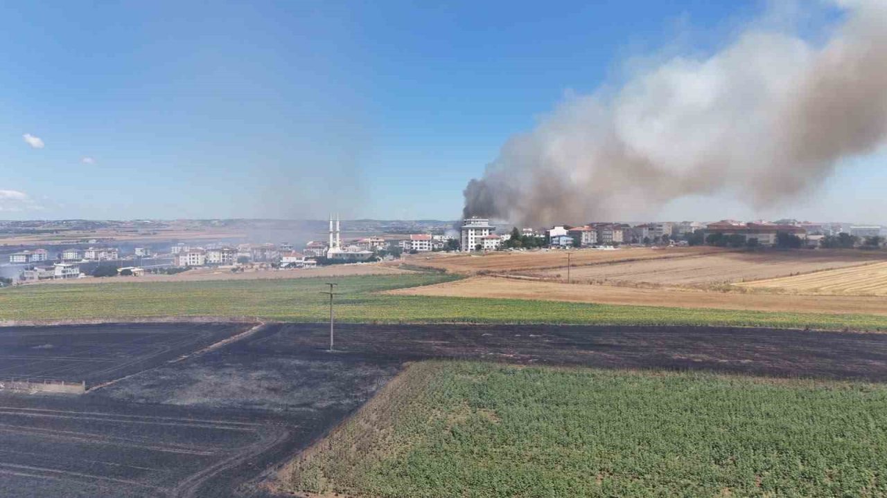 İstanbul’un Silivri ilçesinde bir tarlada çıkan yangın, rüzgarın etkisiyle kısa