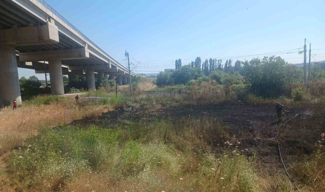 Balıkesir’in Susurluk ilçesinde otoyol viyadüğü mevkisinde çıkan ot yangını, itfaiye