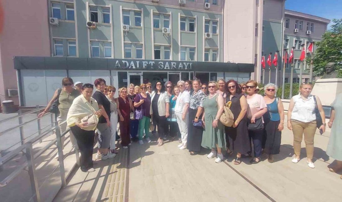 Bandırma Paşakonak Mahallesi Muhtarı Betül Moralı’ya sosyal medya ve mesajlaşma