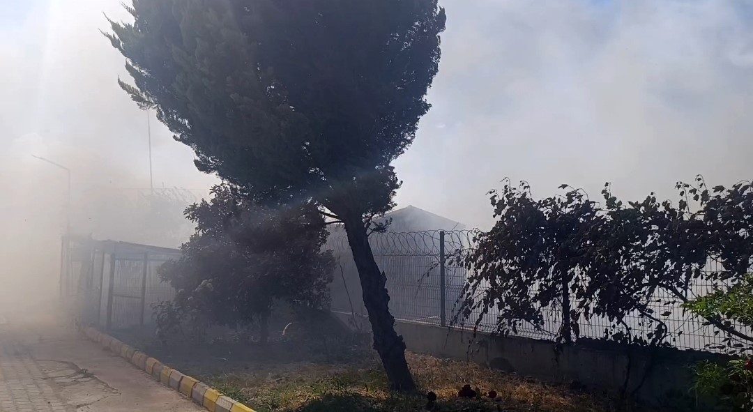 Tekirdağ’ın Marmaraereğlisi ilçesinde tarım arazilerinde çıkan yangın, kuvvetli rüzgarın etkisiyle