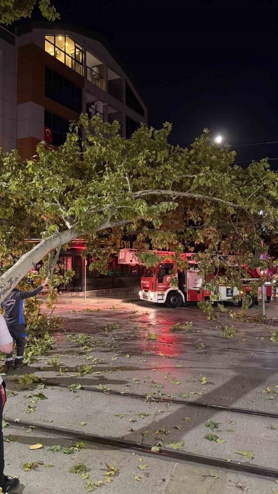 Kocaeli’nin İzmit ilçesinde çınar ağacından kopan dalın tramvay hattına düşmesiyle