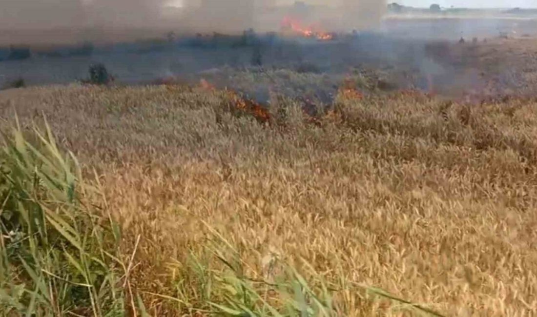 Edirne’nin Uzunköprü ilçesine bağlı Altınyazı köyünde çıkan yangında yaklaşık 6