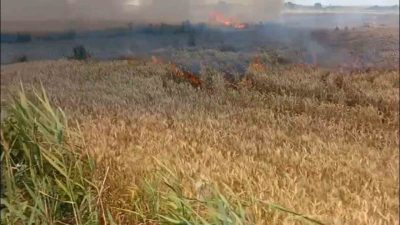 Edirne’nin Uzunköprü ilçesine bağlı Altınyazı köyünde çıkan yangında yaklaşık 6