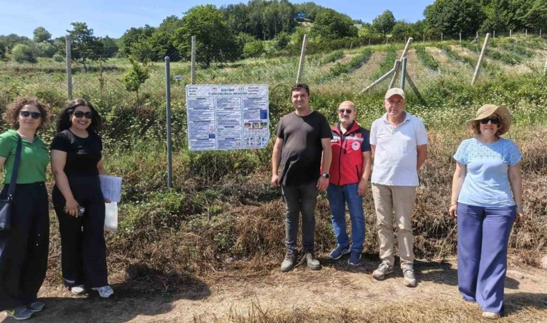 Tarım ve Orman Bakanlığının İyi Tarım Uygulamaları kapsamında 2026 yılında