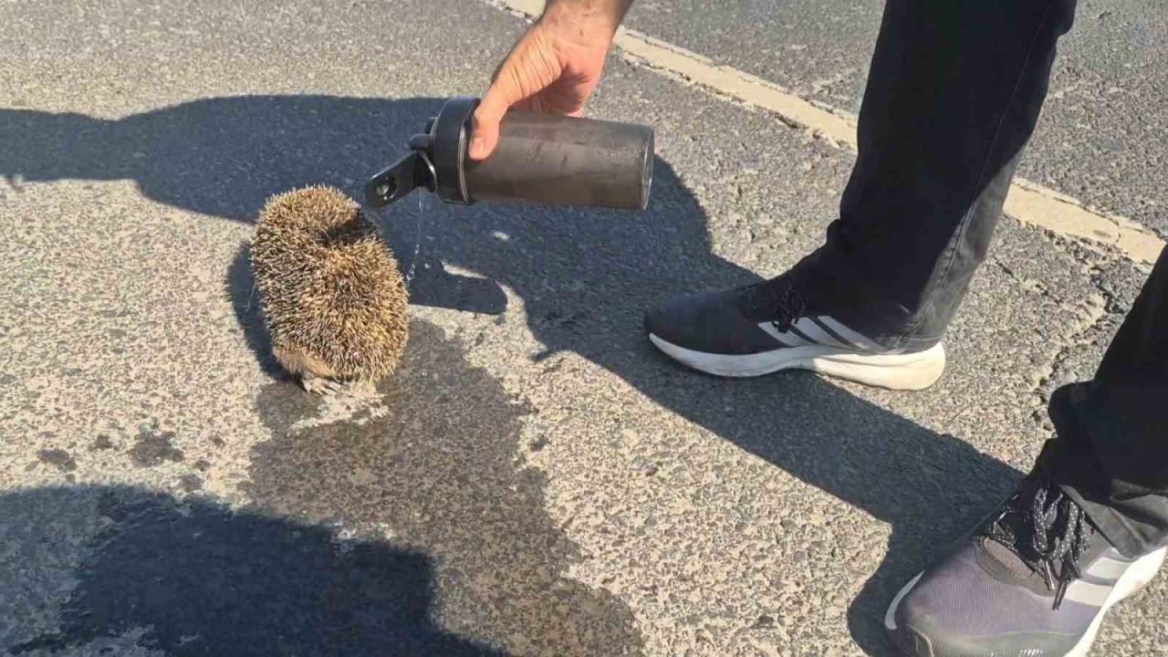 Tekirdağ’ın Marmaraereğlisi ile Çorlu ilçeleri arasında çıkan yangına müdahale eden