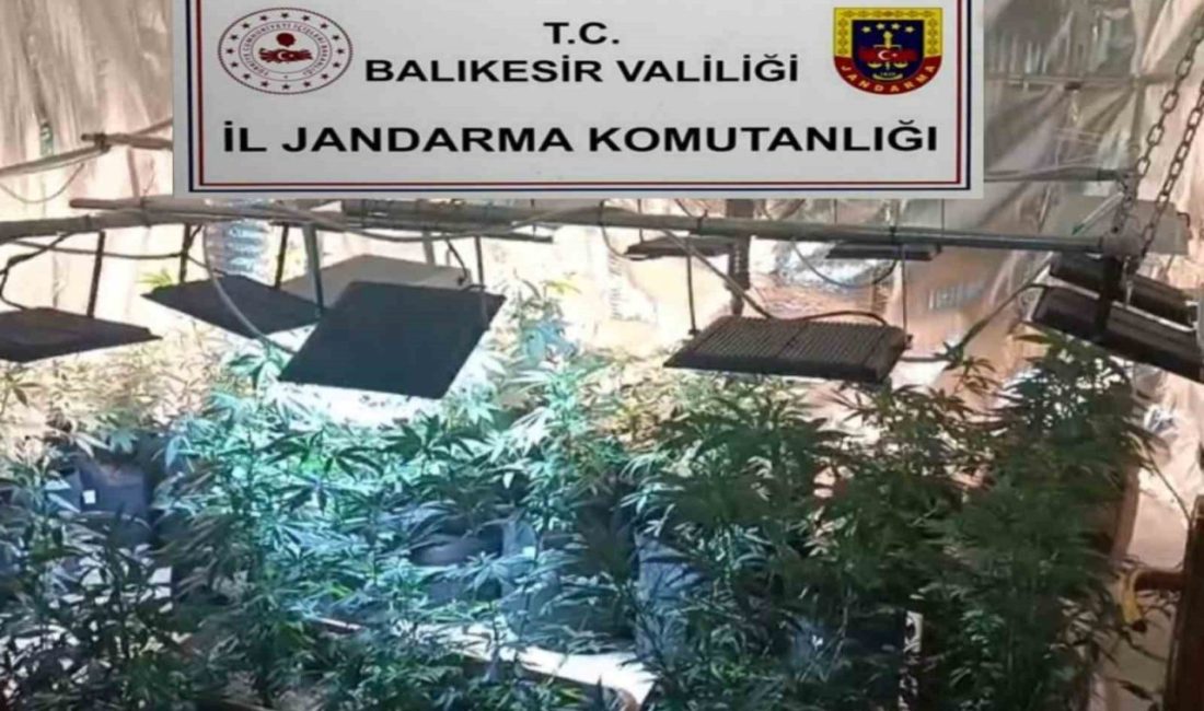 Balıkesir İl Jandarma Komutanlığı ekiplerince, il genelinde uyuşturucu madde üretimi