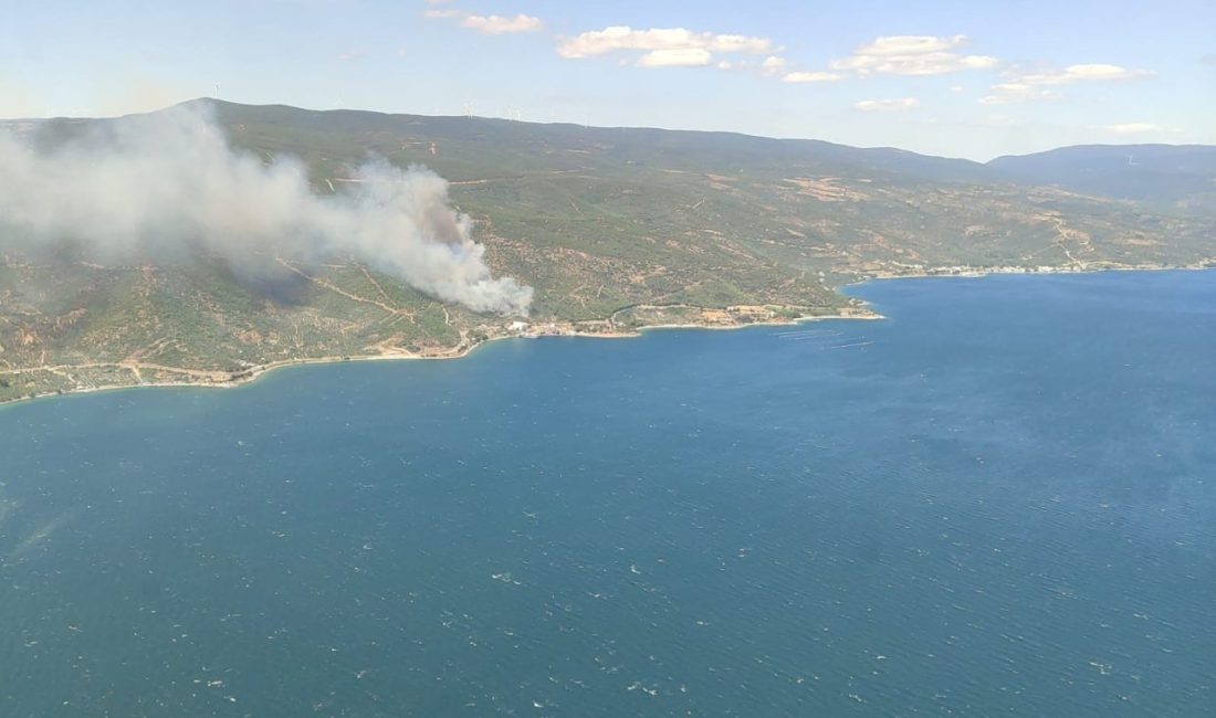 Yalova’nın Armutlu ilçesi Kapaklı köyü hattında orman yangını meydana geldi.