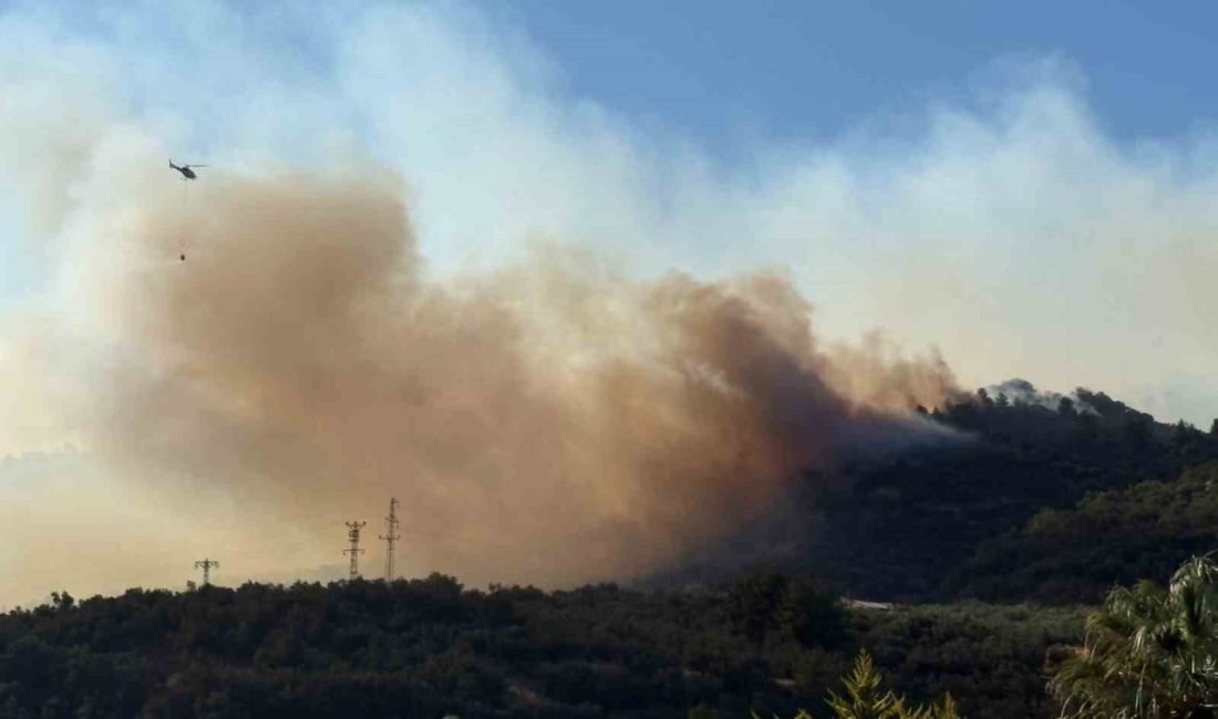 Çanakkale’nin Ayvacık ve Bayramiç ilçelerindeki orman yangınları kontrol altına alındı.