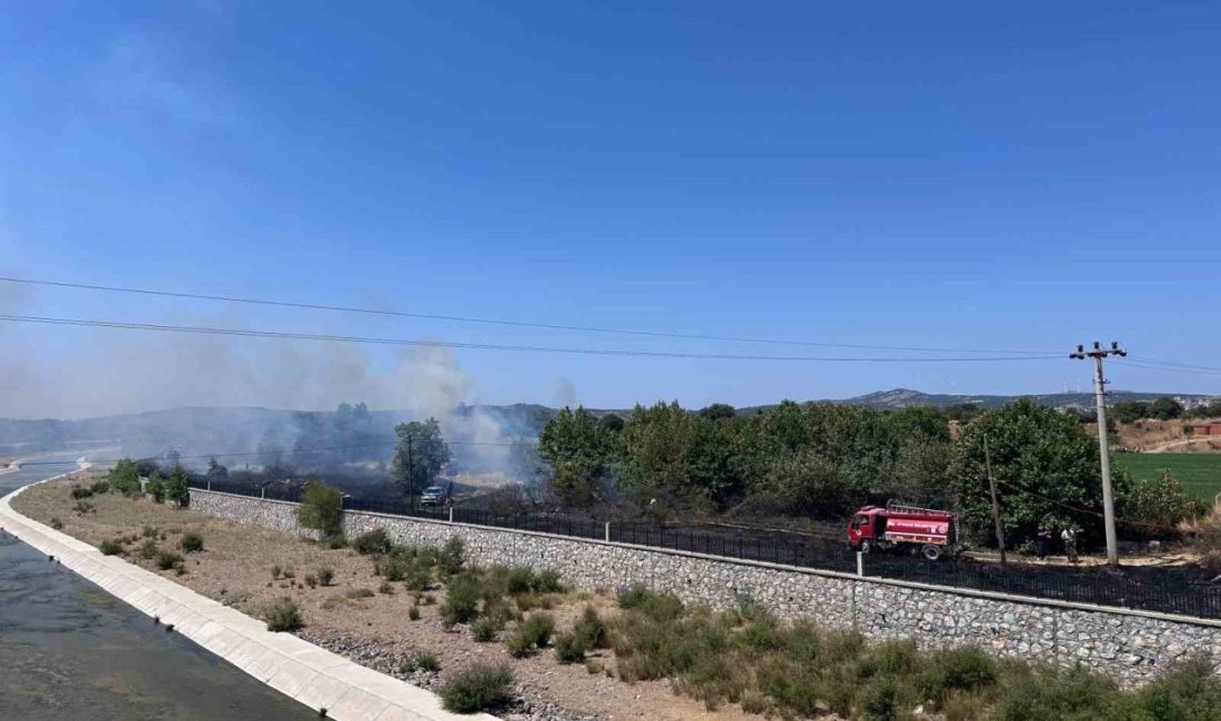 Çanakkale’nin Ayvacık ilçesinde otluk alanda çıkan yangın ekiplerin müdahalesiyle kontrol