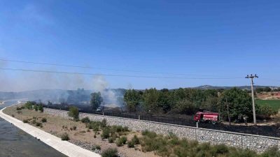 Çanakkale’nin Ayvacık ilçesinde otluk alanda çıkan yangın ekiplerin müdahalesiyle kontrol