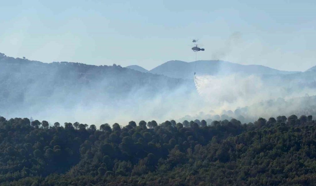 Balıkesir’in Gömeç ilçesinde önceki gün çıkan orman yangını 3. günde
