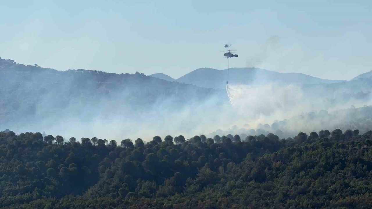 Balıkesir’in Gömeç ilçesinde önceki gün çıkan orman yangını 3. günde