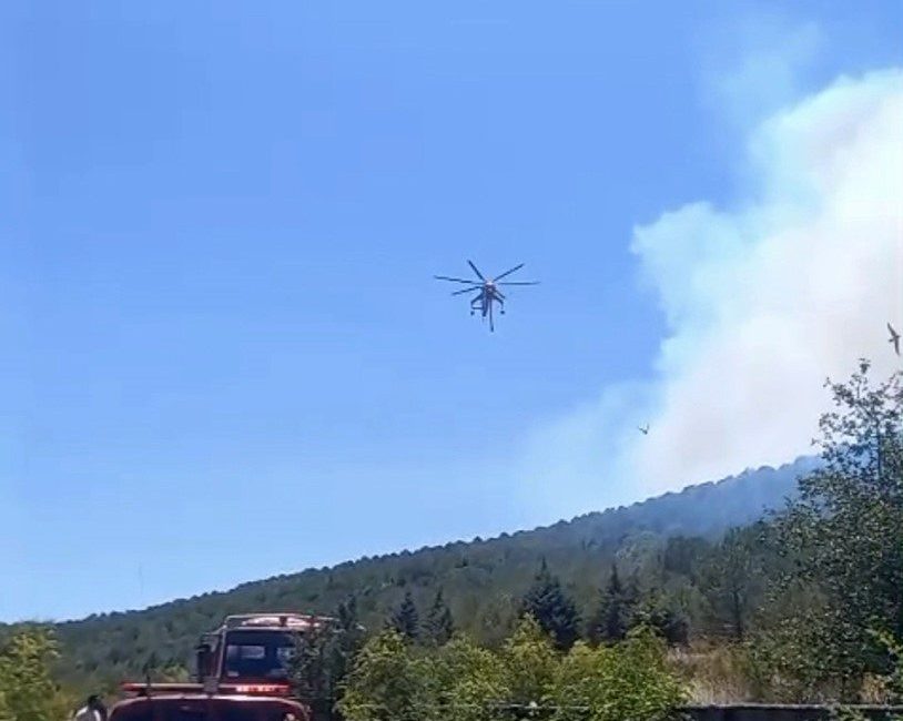 Balıkesir’in Gömeç ilçesinde 24 saattir devam eden orman yangını ile